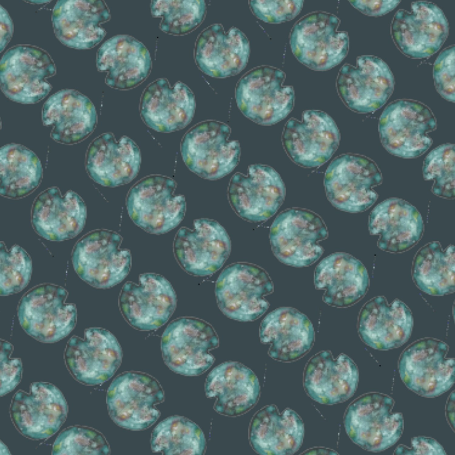 Lily pads on navy