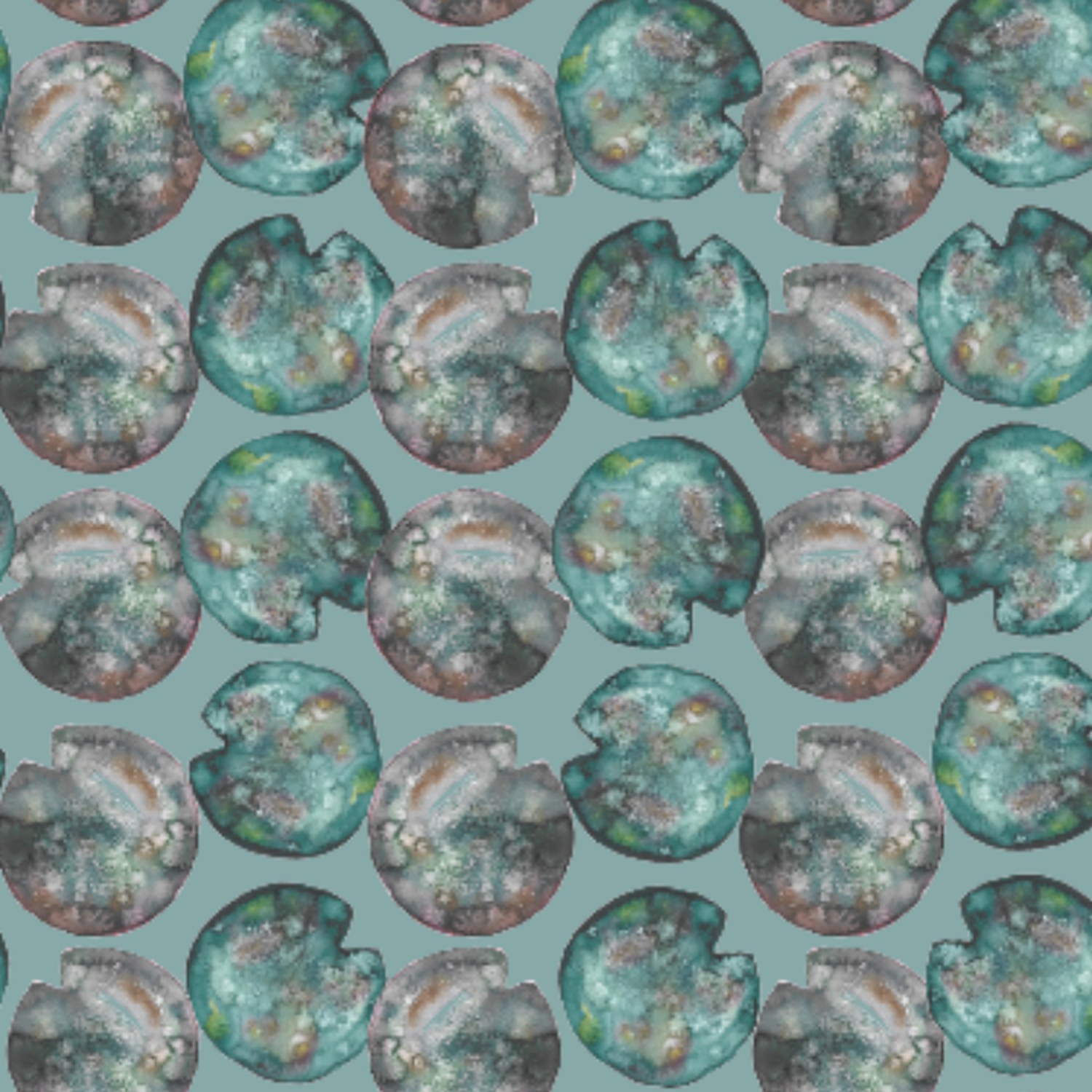 Lily pads on grey-blue