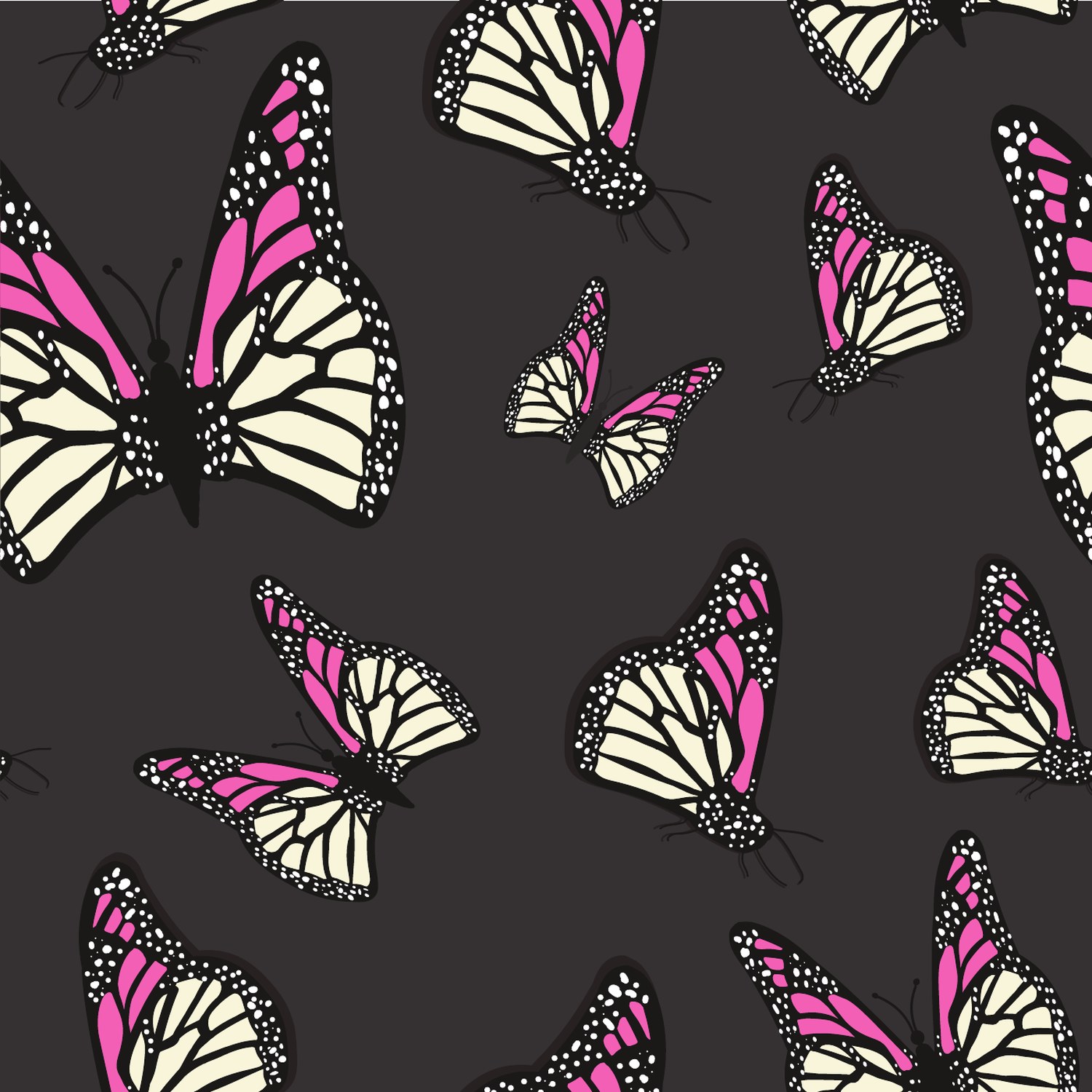 Bold butterflies on black