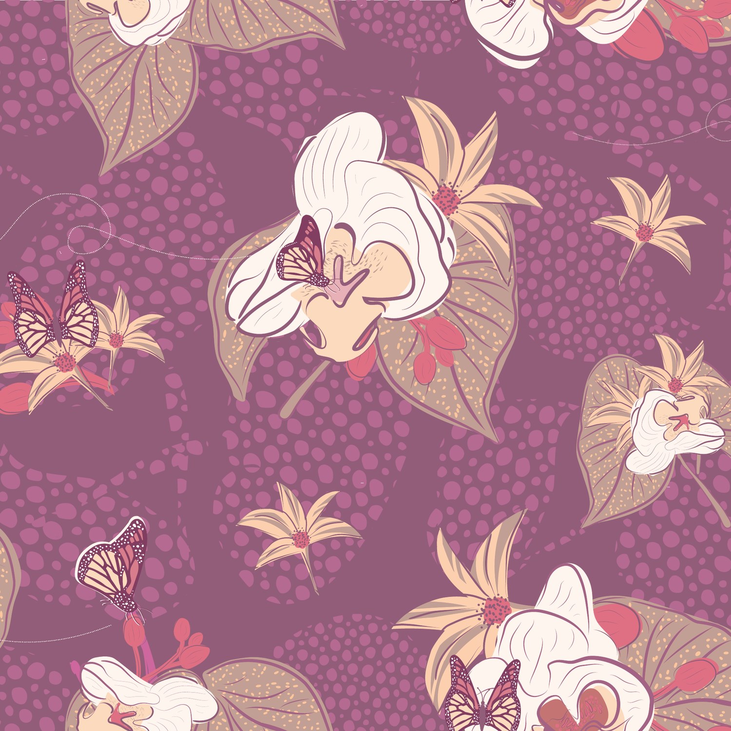 Orchid sprays on magenta