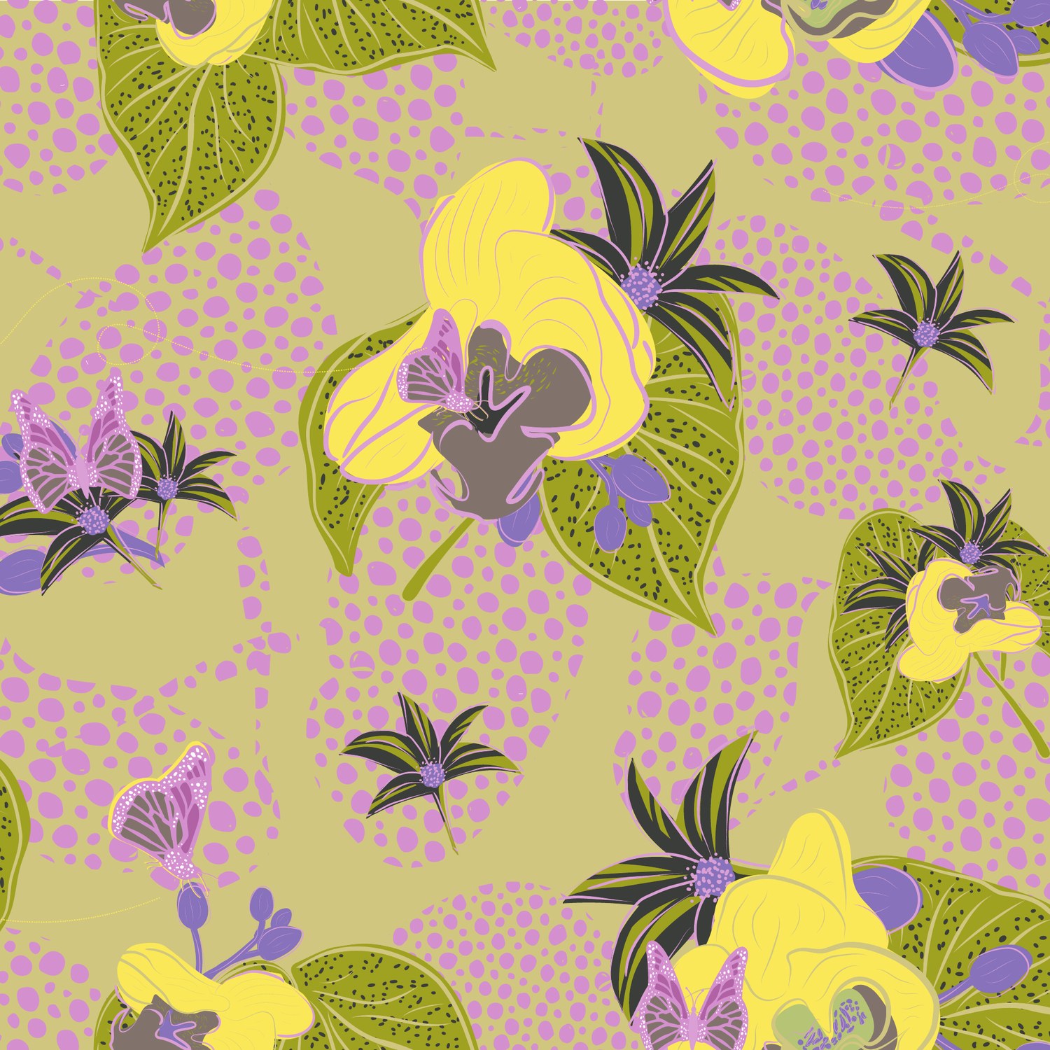 Purple orchid spray on olive