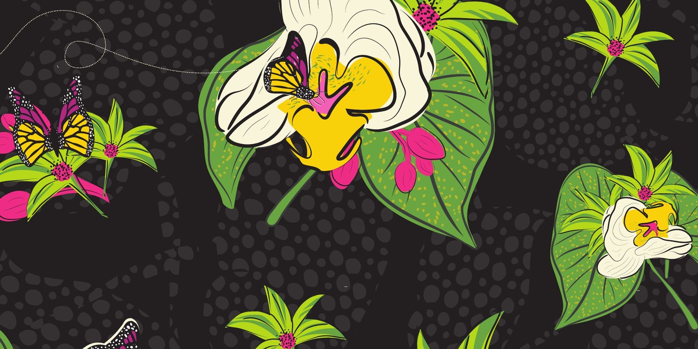 Orchid Collection — pattern banner