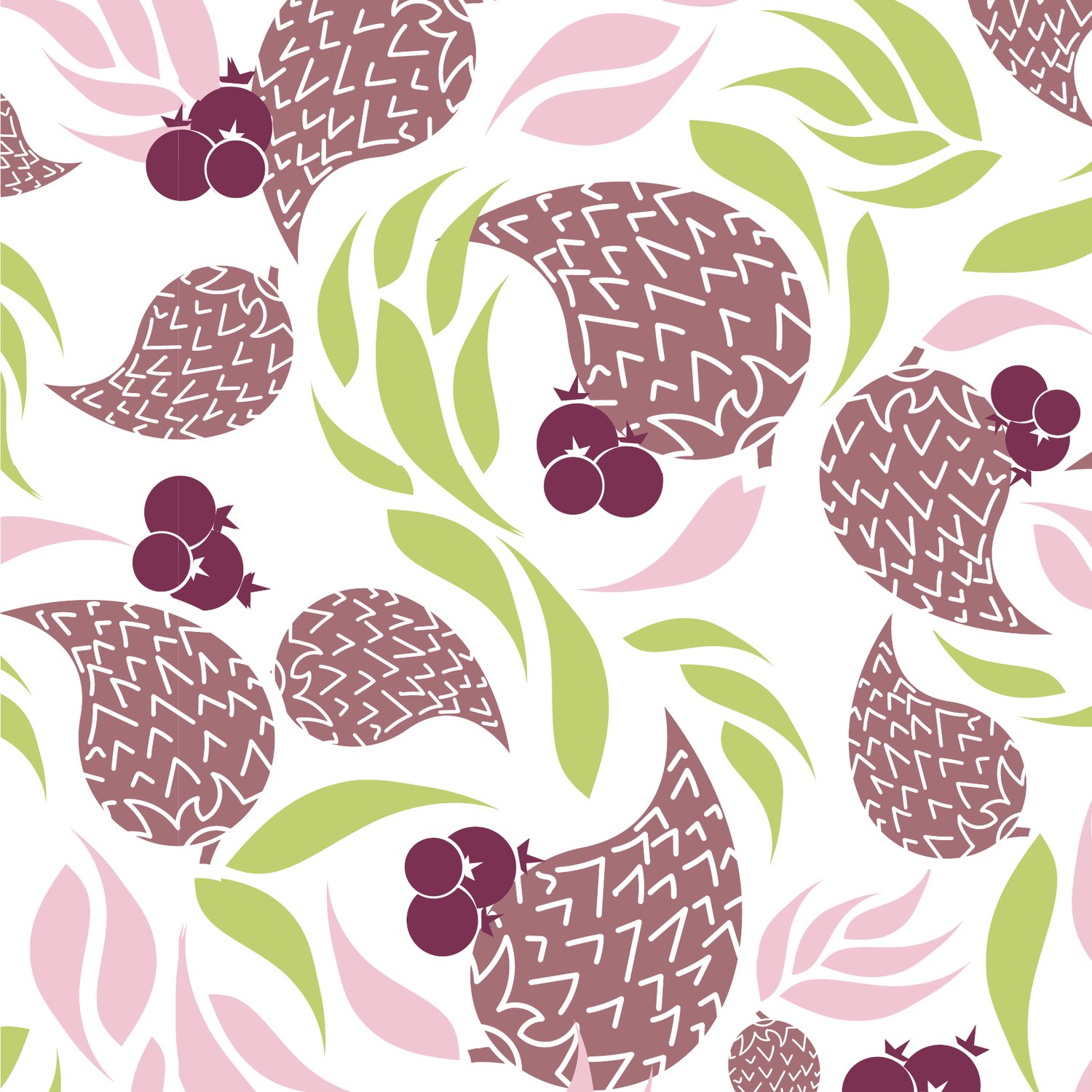 Pink and green pinecones on white