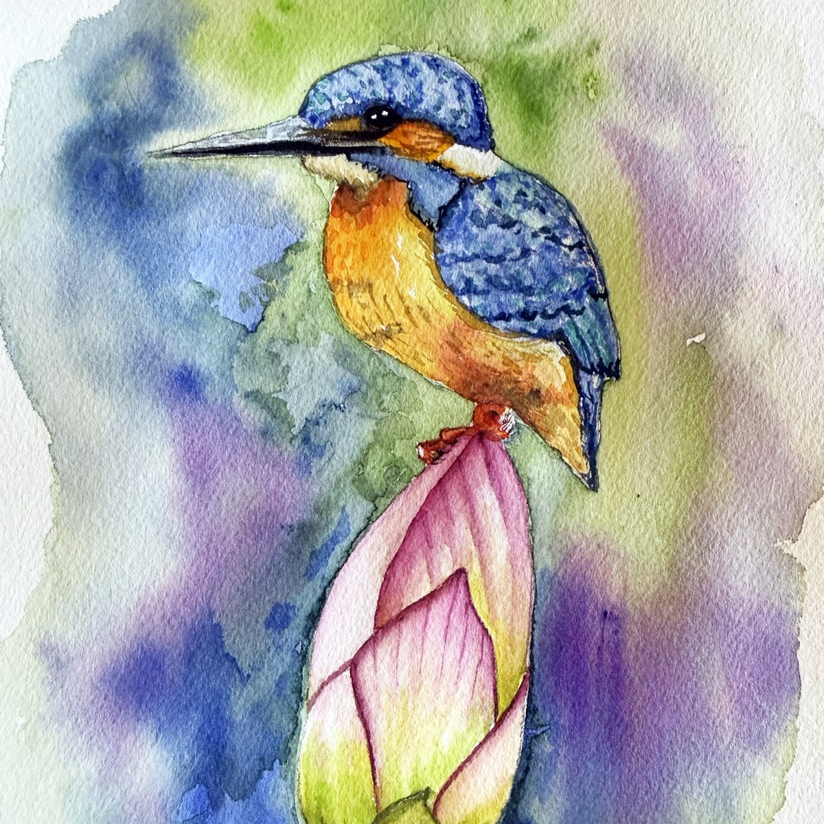 Kingfisher watercolor