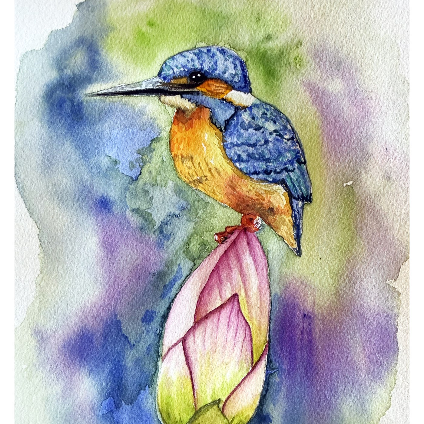 Kingfisher on a lotus, watercolor