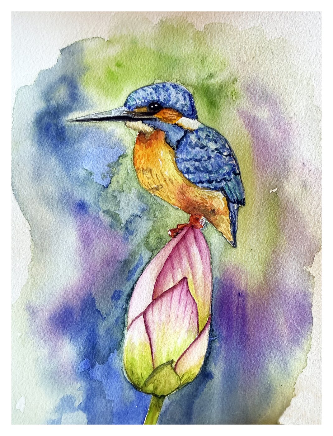 Kingfisher on a lotus, watercolor