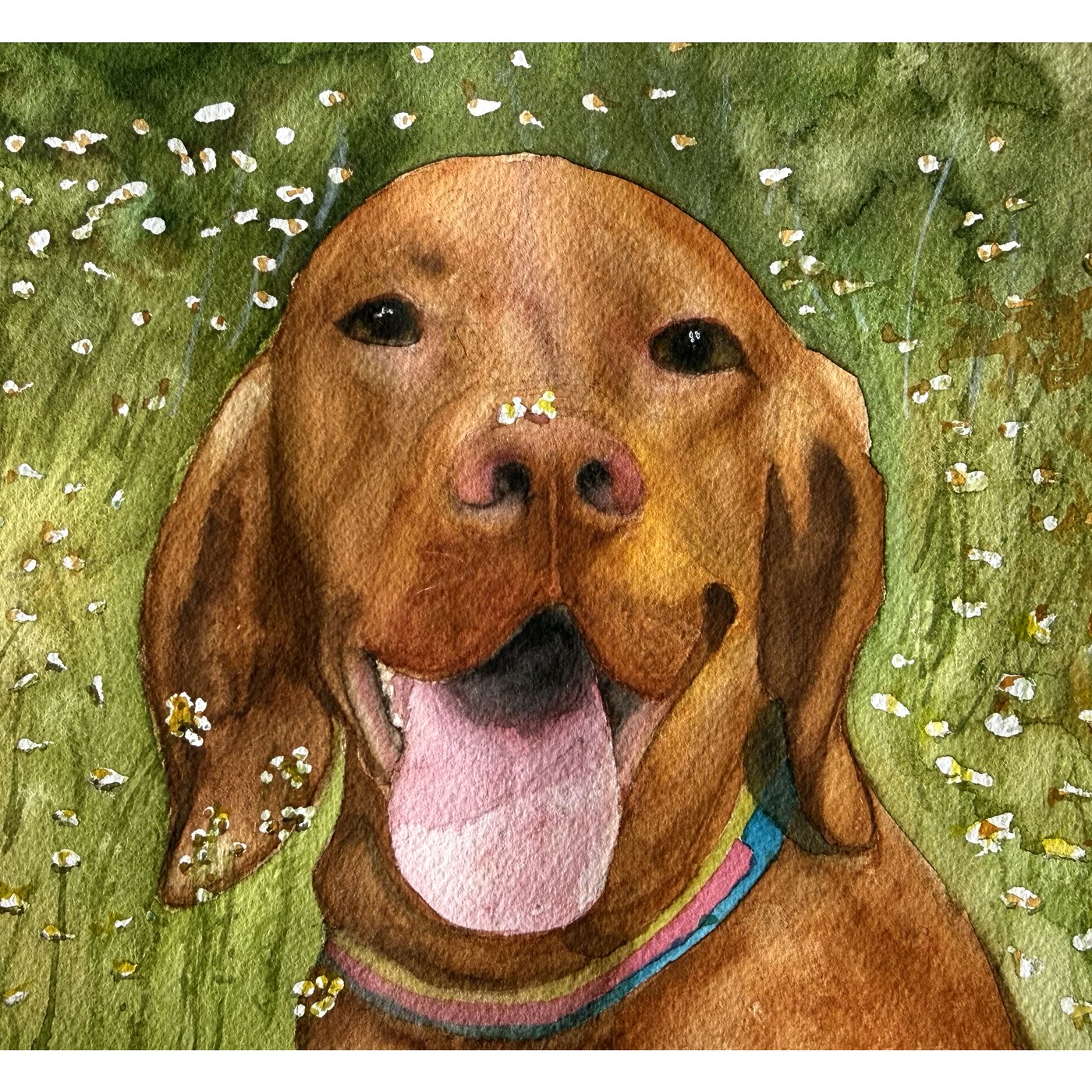 Cody portrait watercolor
