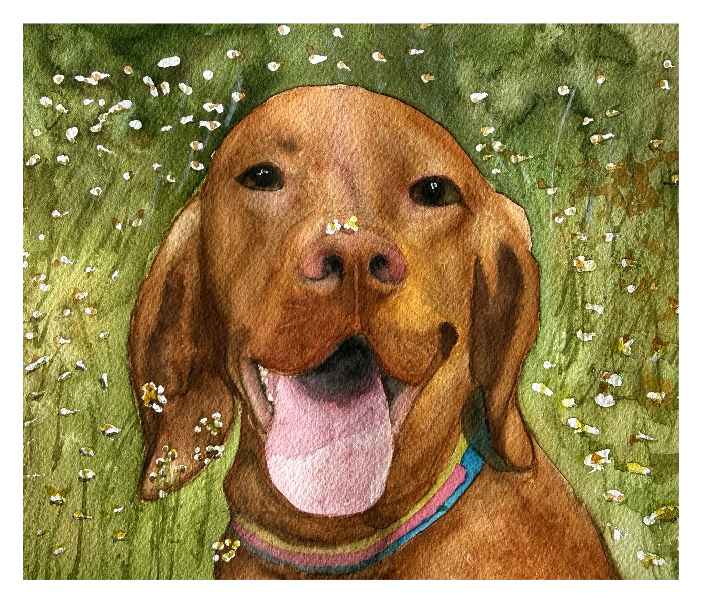 Cody portrait watercolor