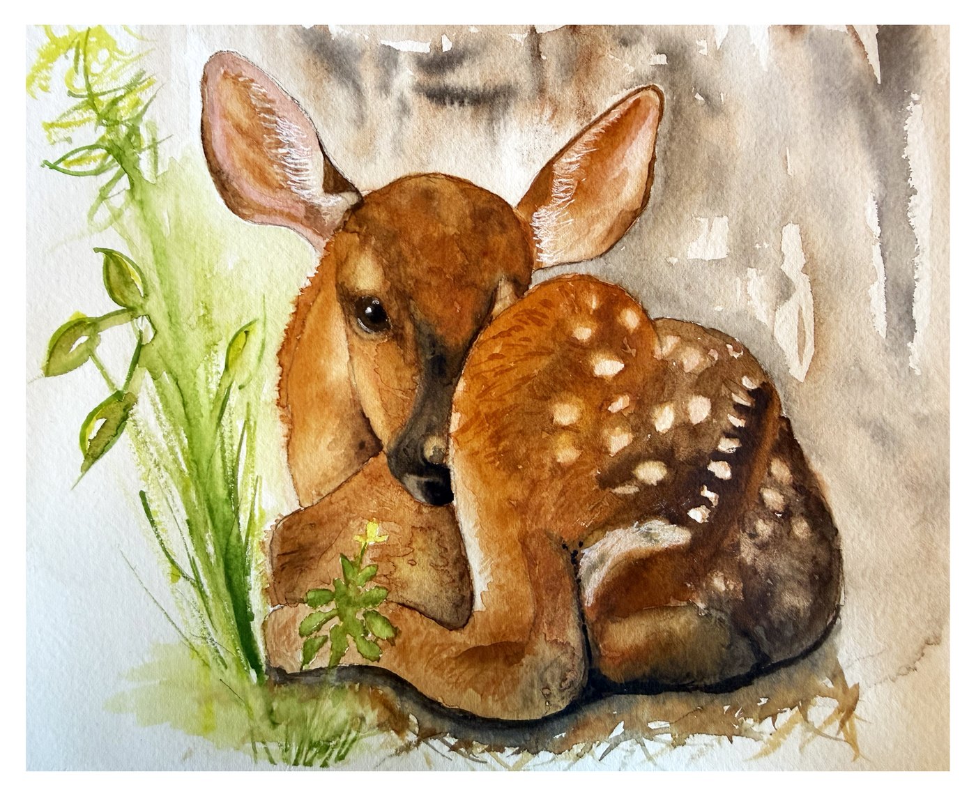 Fawn watercolor