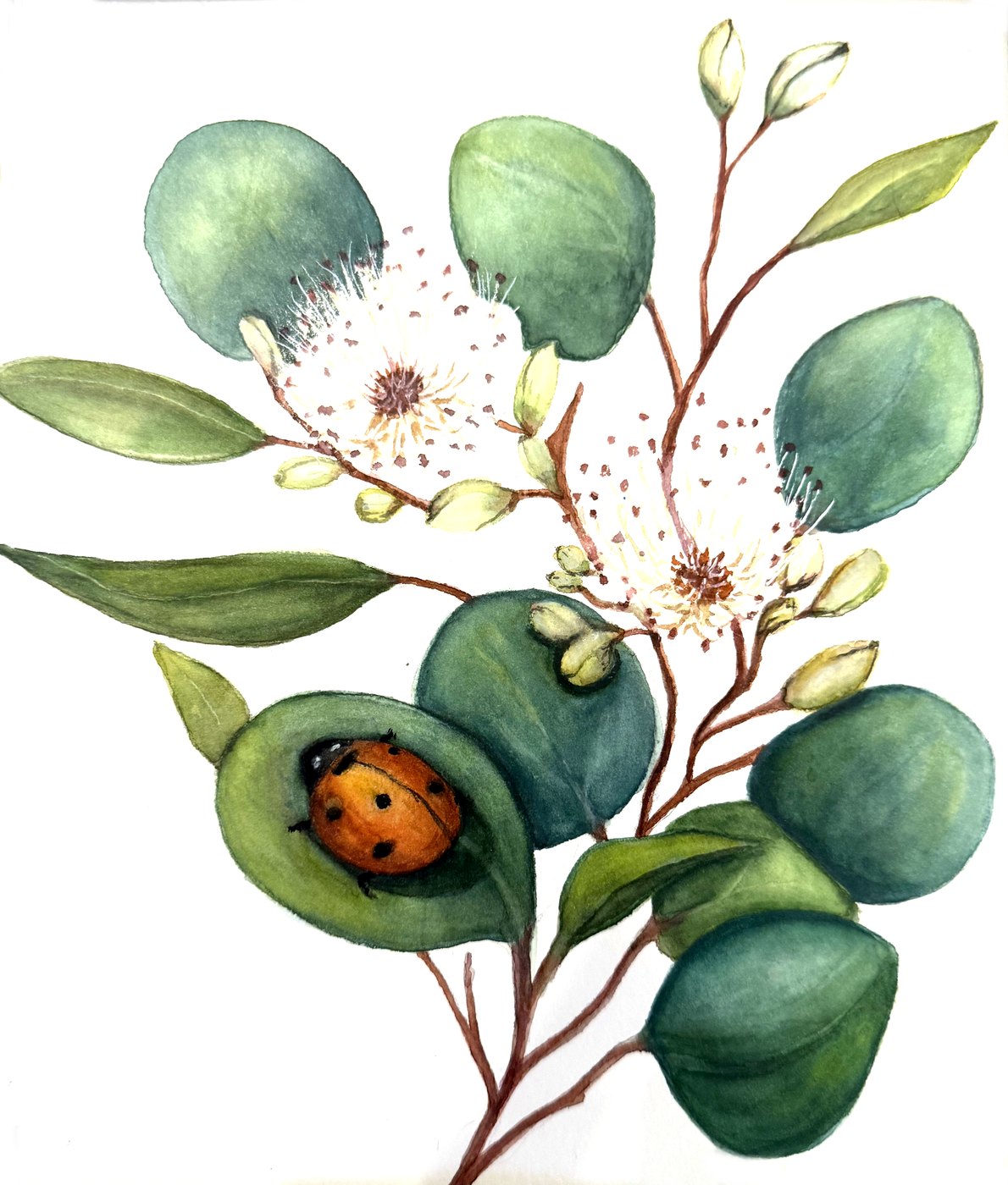Eucalyptus and ladybug watercolor