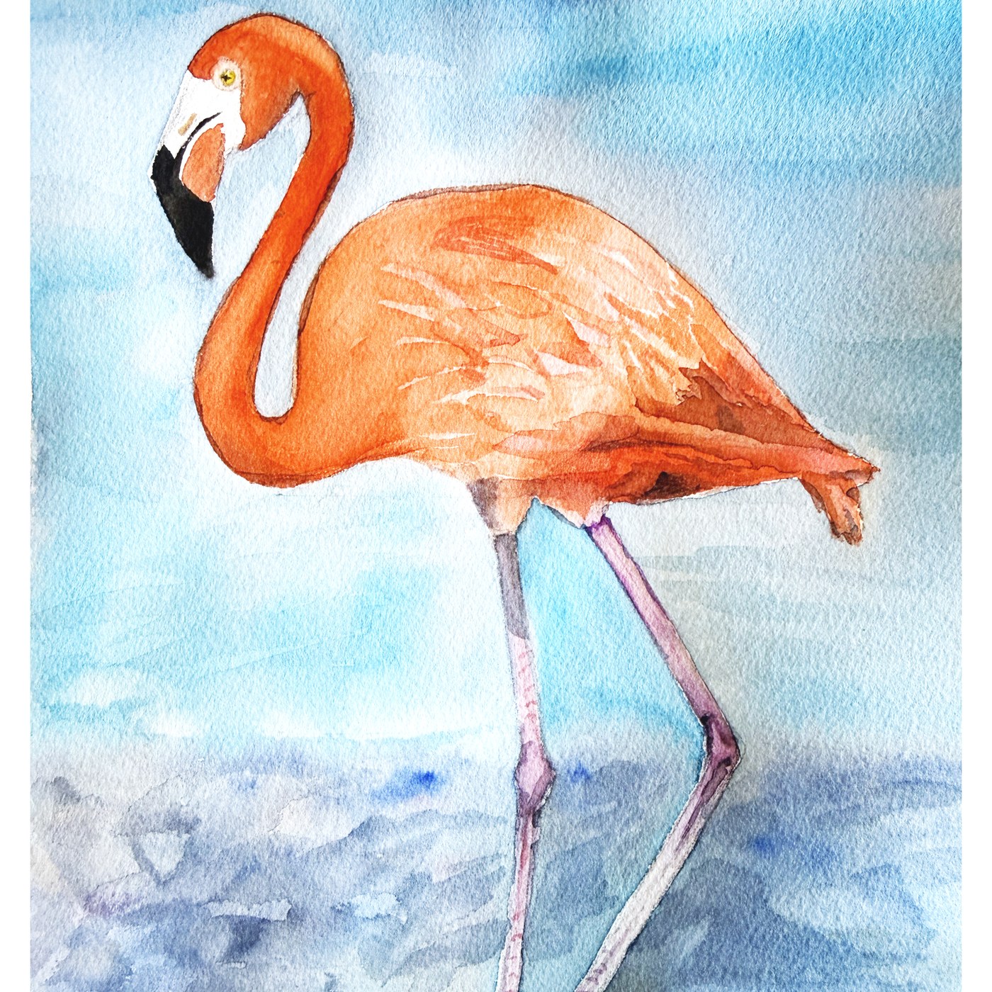 Flamingo watercolor