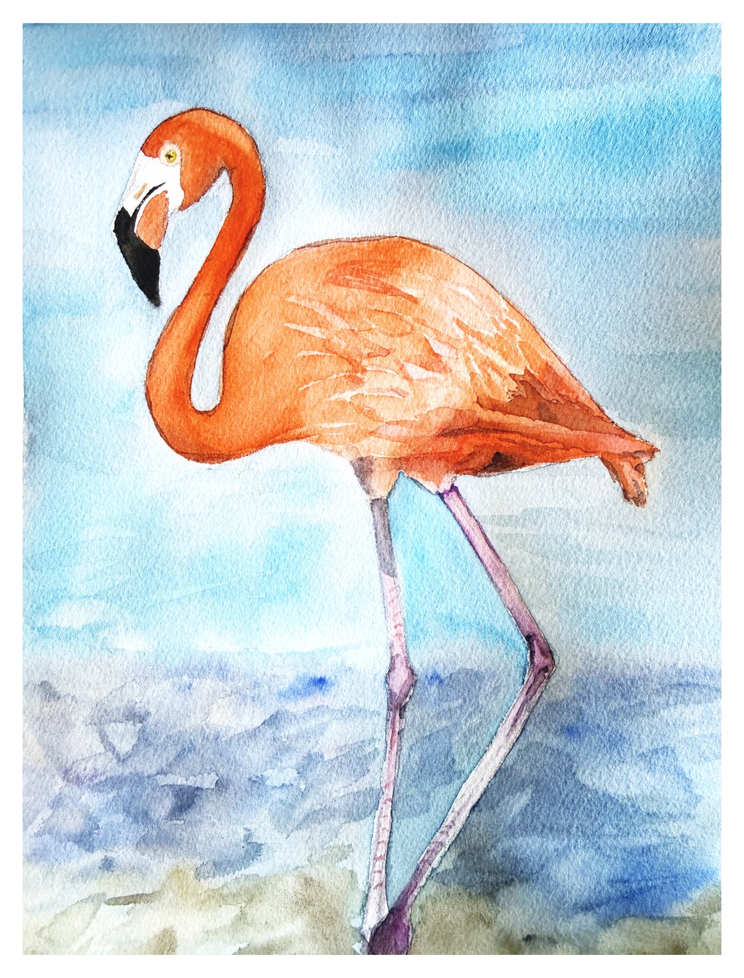 Flamingo watercolor