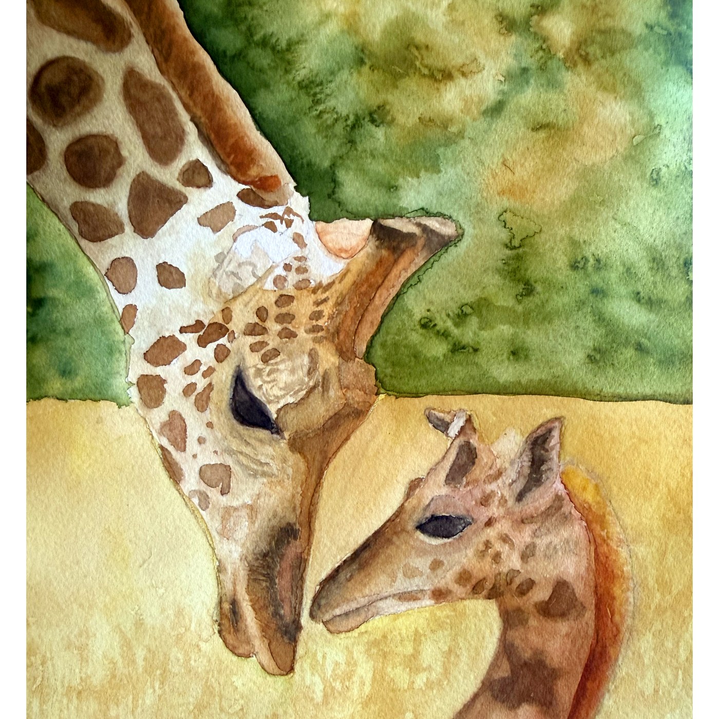 Giraffe and calf watercolor