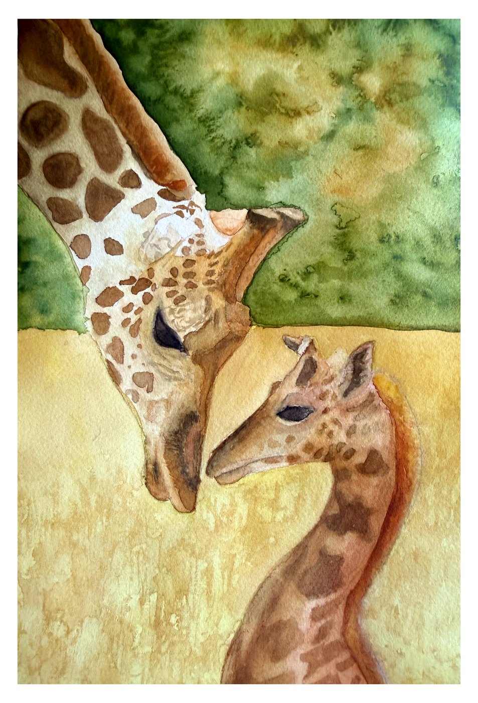 Giraffe and calf watercolor
