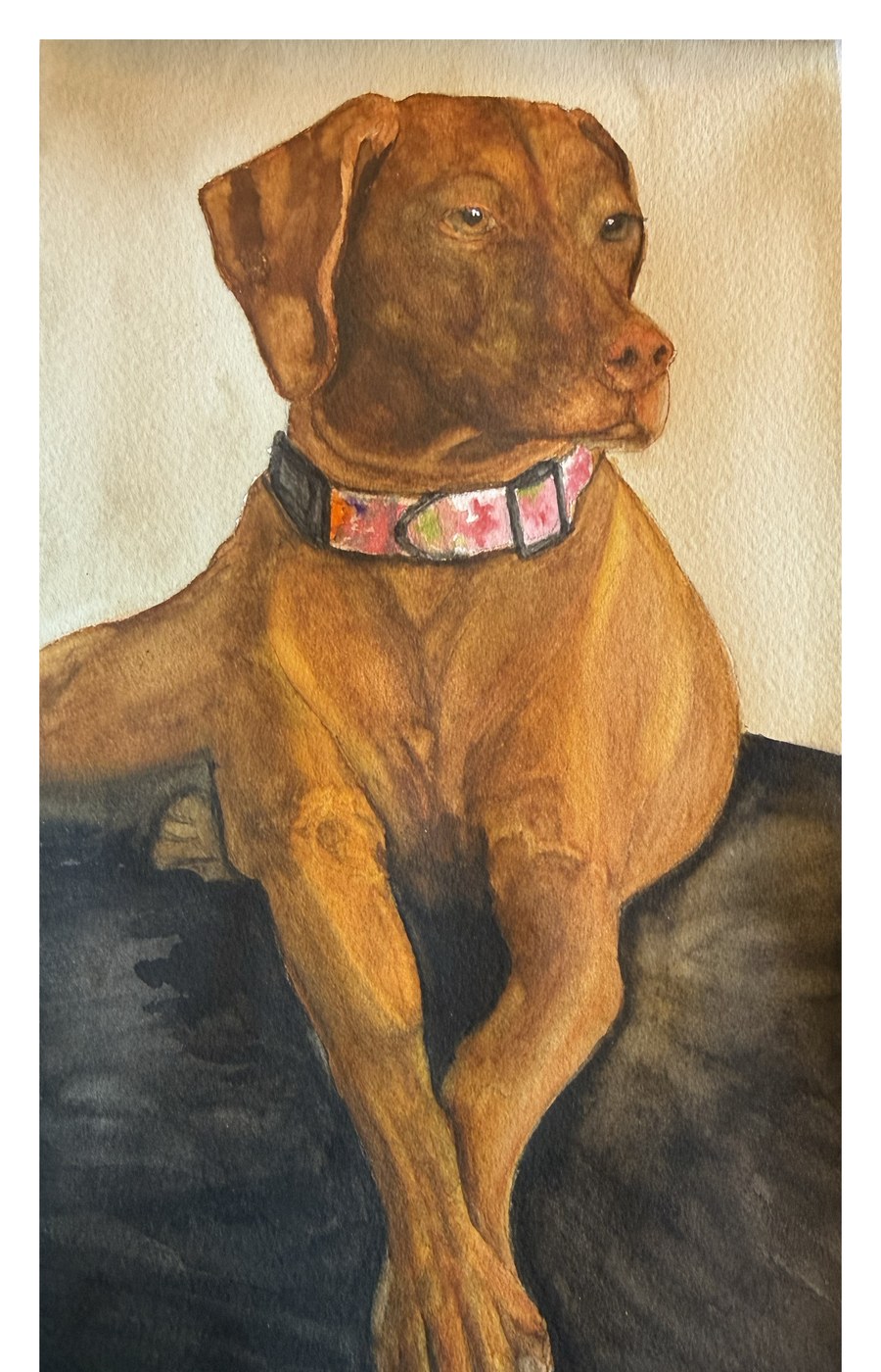 Gracie portrait watercolor