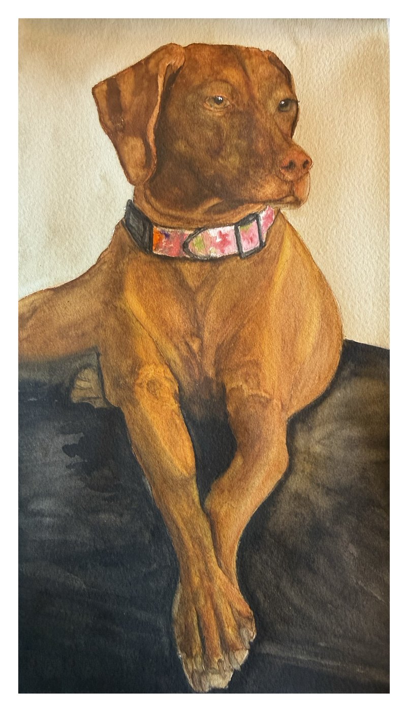 Gracie portrait watercolor