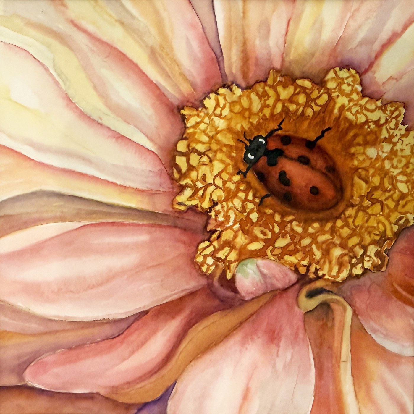 Ladybug nestled in a peach bloom, watercolor
