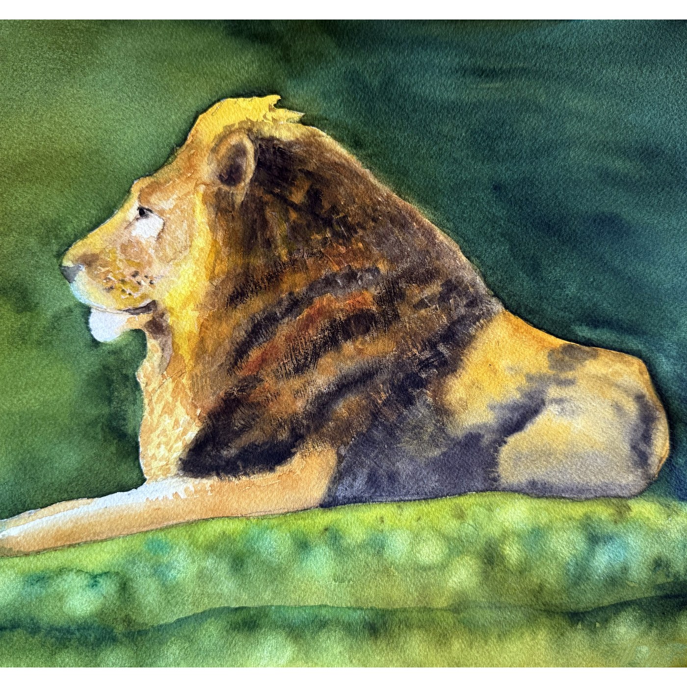 Lion watercolor