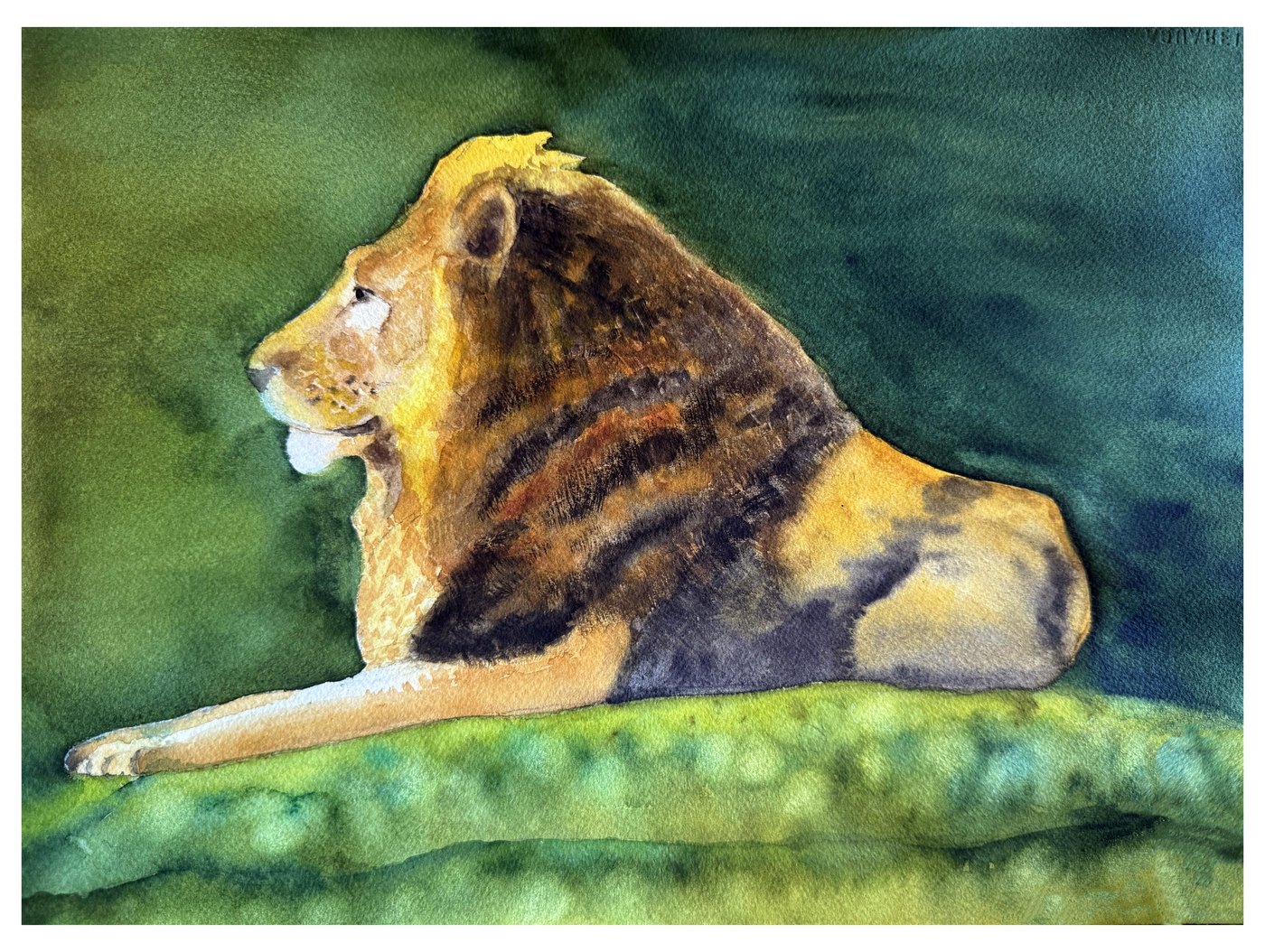 Lion watercolor