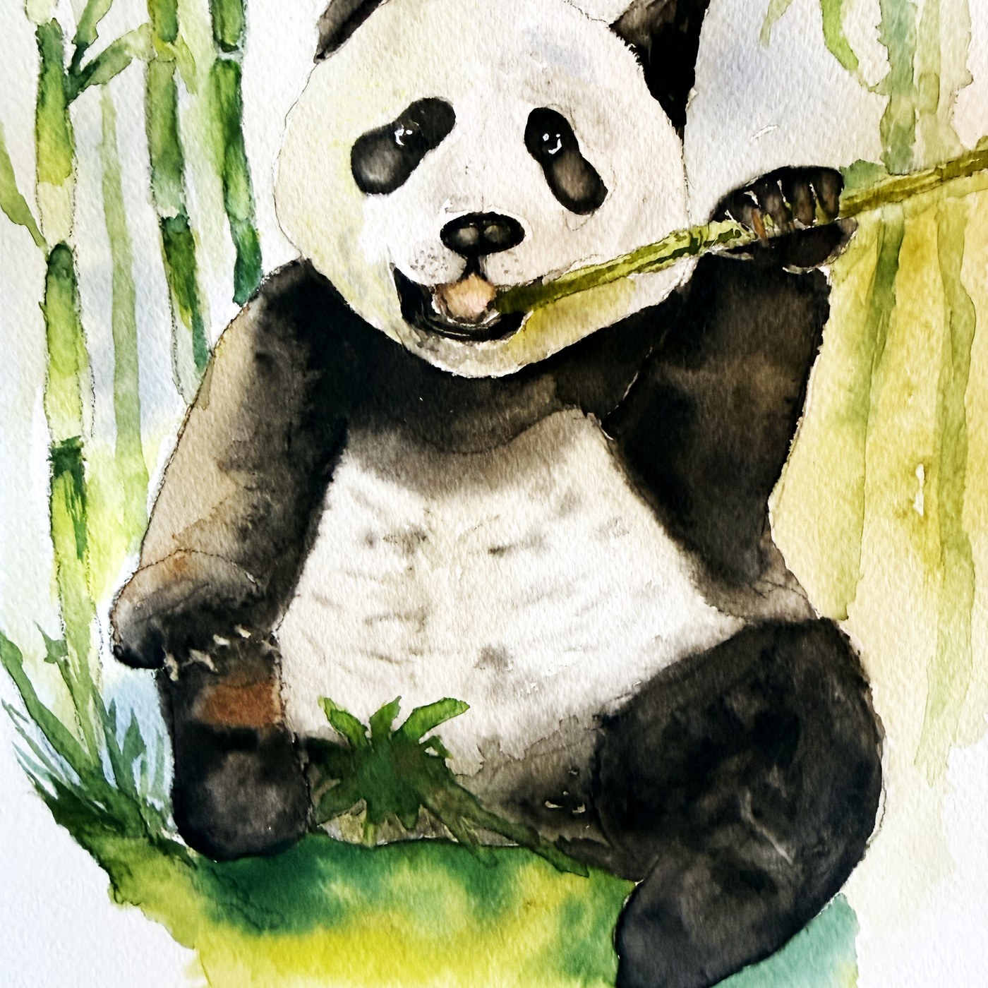 Panda watercolor