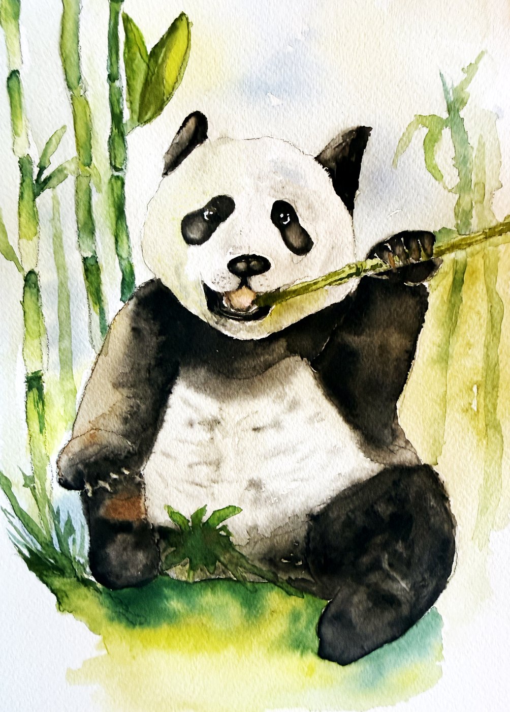 Panda watercolor