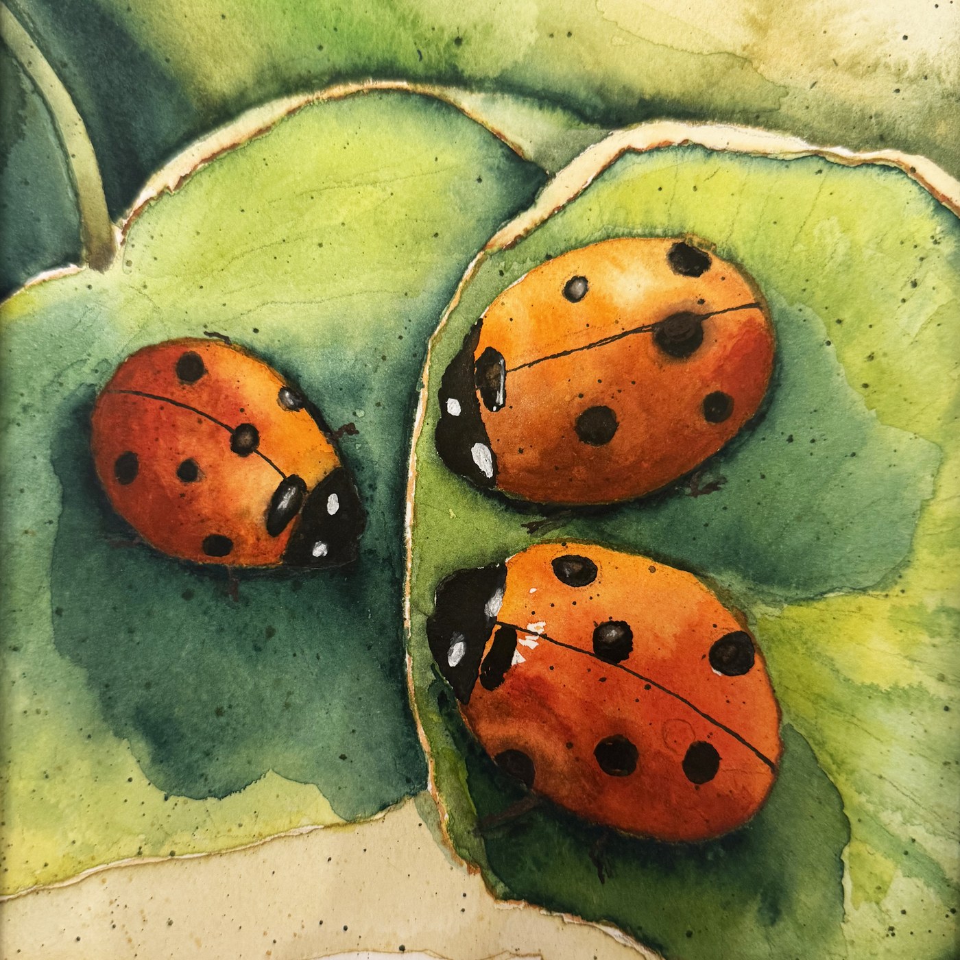 Three ladybugs on a leaf, watercolor